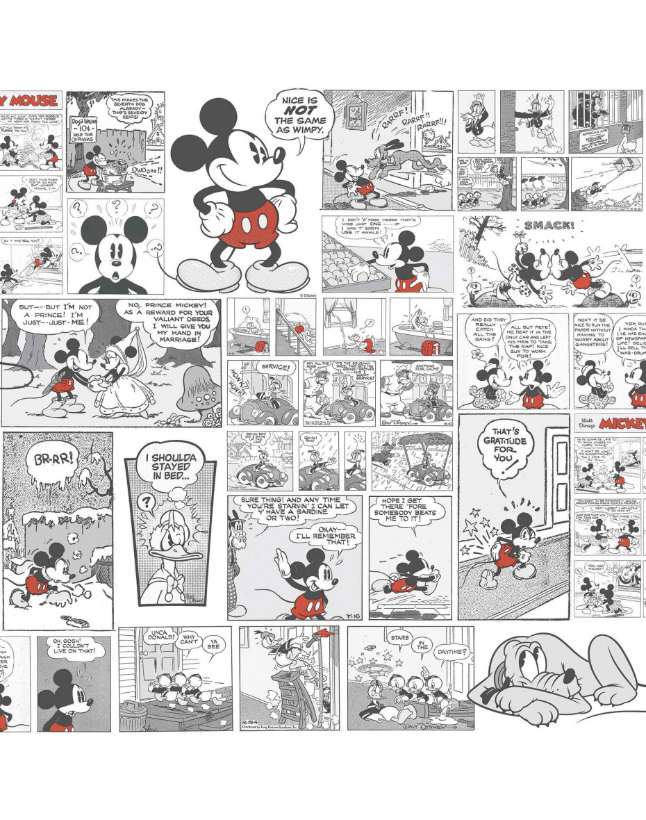Tapeta-obraz Mickey Mouse - 1 ks 0,53 x 0,53 m